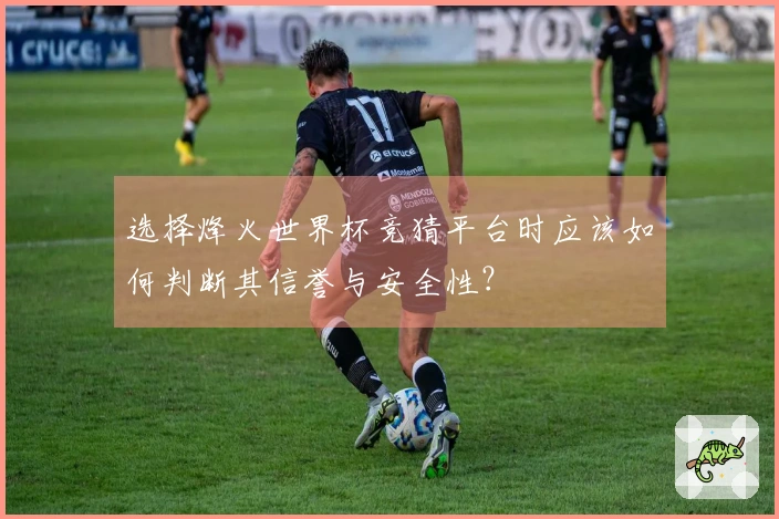 选择烽火世界杯竞猜平台时应该如何判断其信誉与安全性？