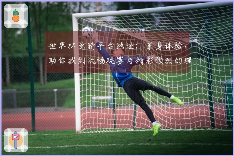 世界杯竞猜平台地址：亲身体验，助你找到流畅观赛与精彩预测的理想入口