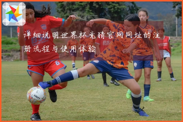详细说明世界杯竞猜官网网址的注册流程与使用体验