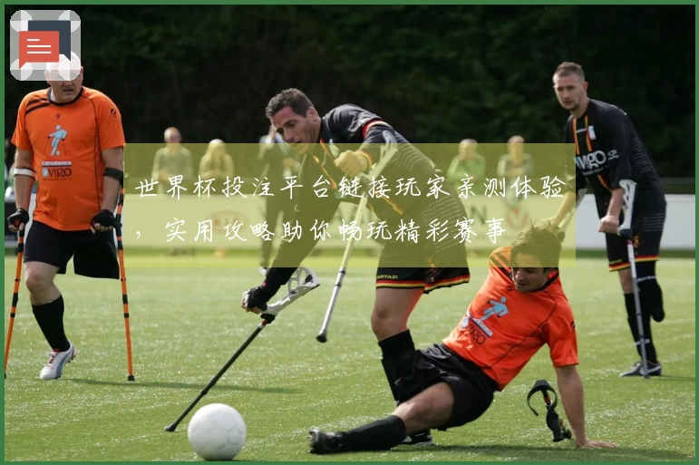世界杯投注平台链接玩家亲测体验，实用攻略助你畅玩精彩赛事