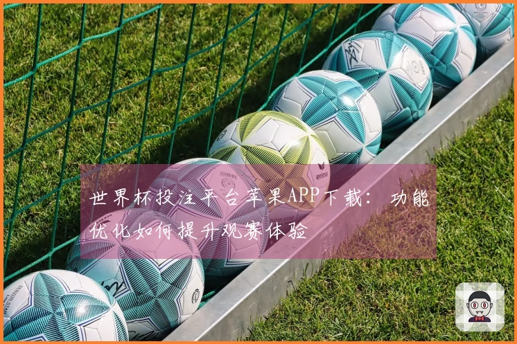 世界杯投注平台苹果APP下载：功能优化如何提升观赛体验