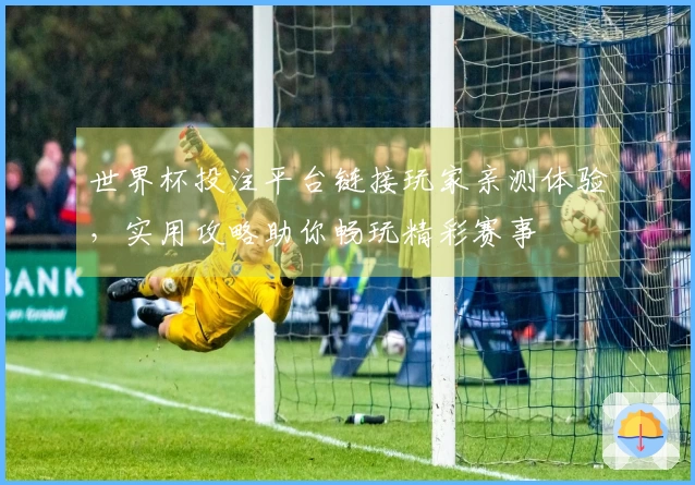 世界杯投注平台链接玩家亲测体验，实用攻略助你畅玩精彩赛事