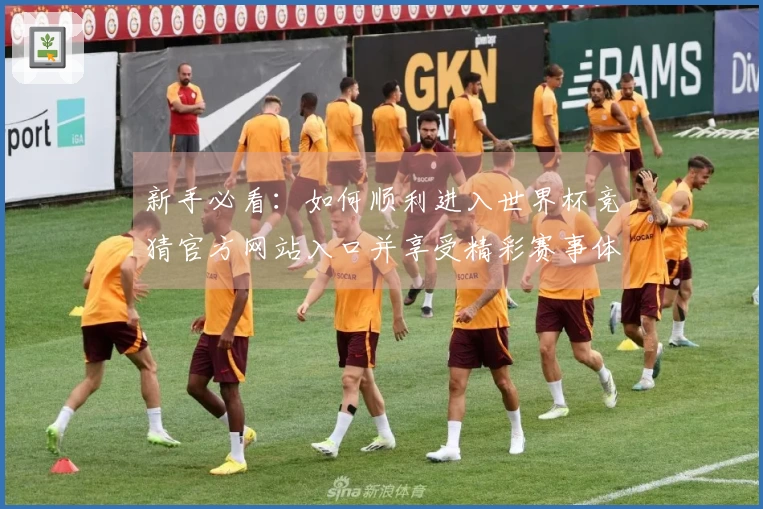 新手必看：如何顺利进入世界杯竞猜官方网站入口并享受精彩赛事体验