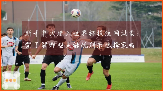 新手首次进入世界杯投注网站前，需了解哪些关键规则和选择策略