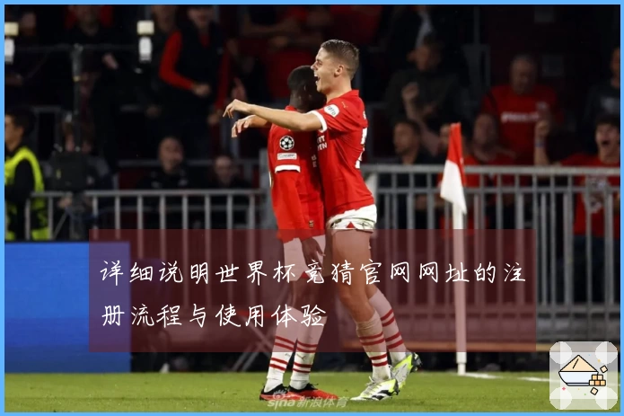 详细说明世界杯竞猜官网网址的注册流程与使用体验