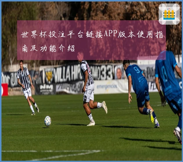 世界杯投注平台链接APP版本使用指南及功能介绍