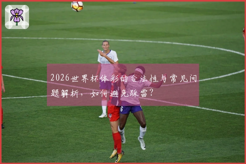 2026世界杯体彩的合法性与常见问题解析，如何避免踩雷？